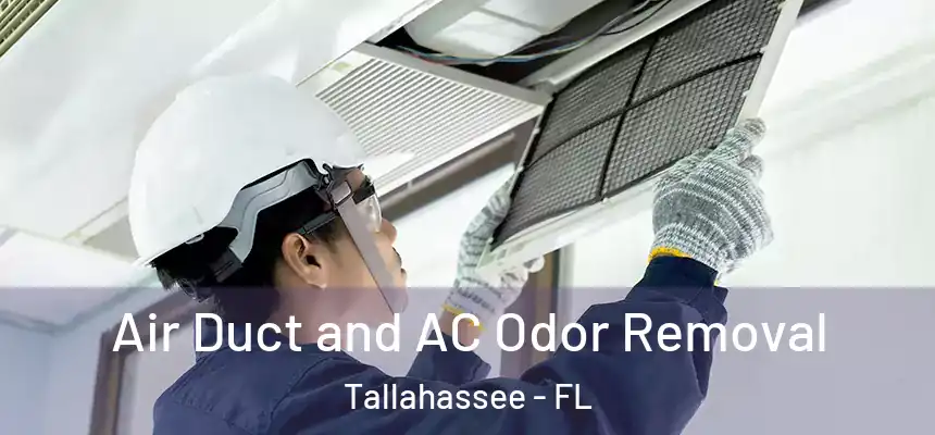 Air Duct and AC Odor Removal Tallahassee - FL
