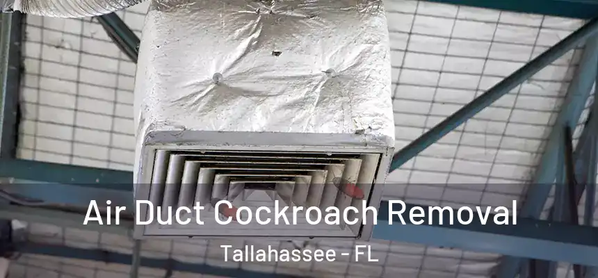 Air Duct Cockroach Removal Tallahassee - FL