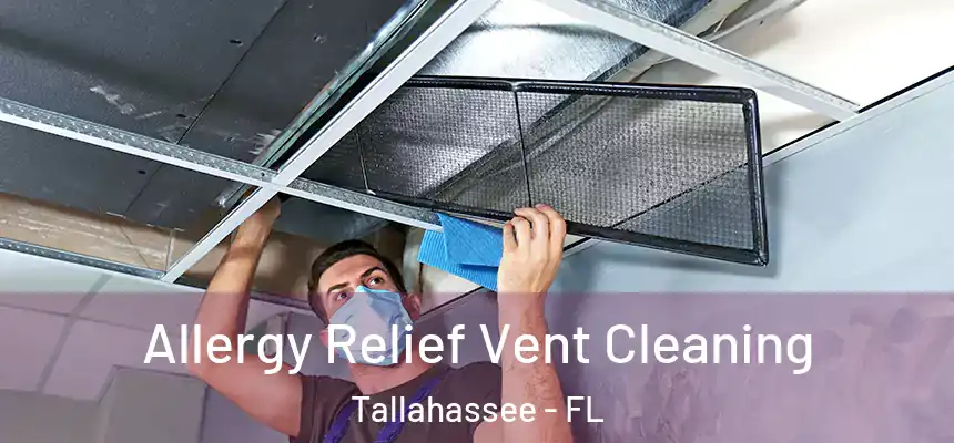 Allergy Relief Vent Cleaning Tallahassee - FL