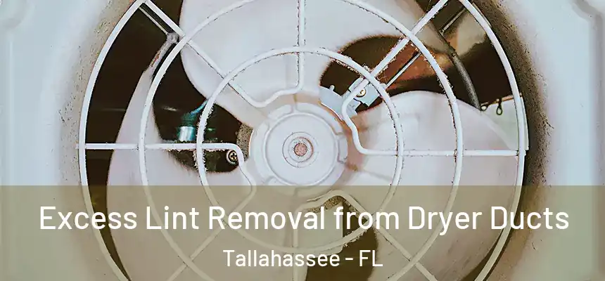 Excess Lint Removal from Dryer Ducts Tallahassee - FL