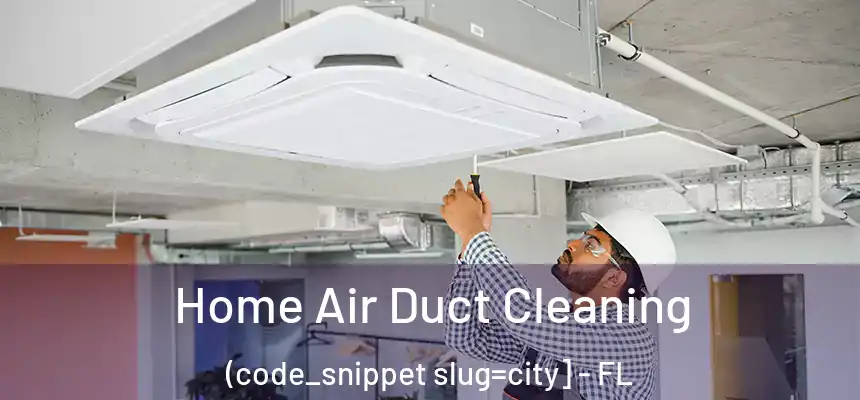  Home Air Duct Cleaning (code_snippet slug=city] - FL