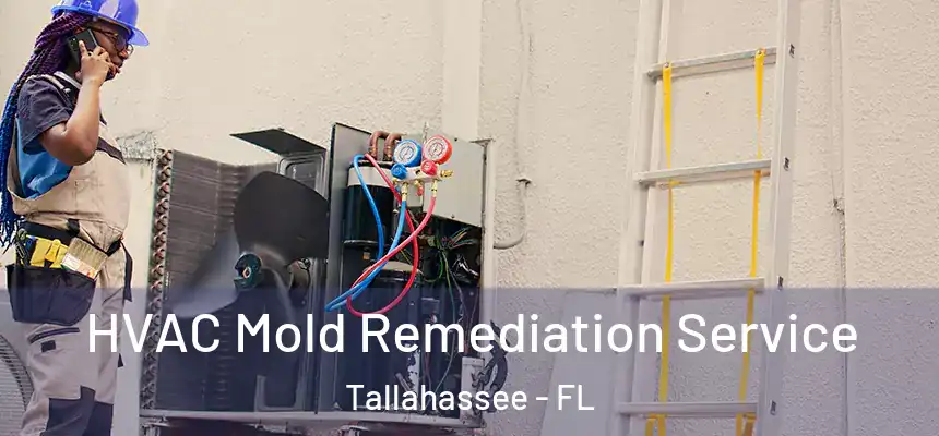 HVAC Mold Remediation Service Tallahassee - FL