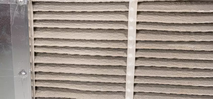 Mobile Car AC Filter Replacement in Tallahassee