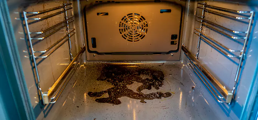 Our Dryer Vent Mold Cleaning Services in Tallahassee, FL