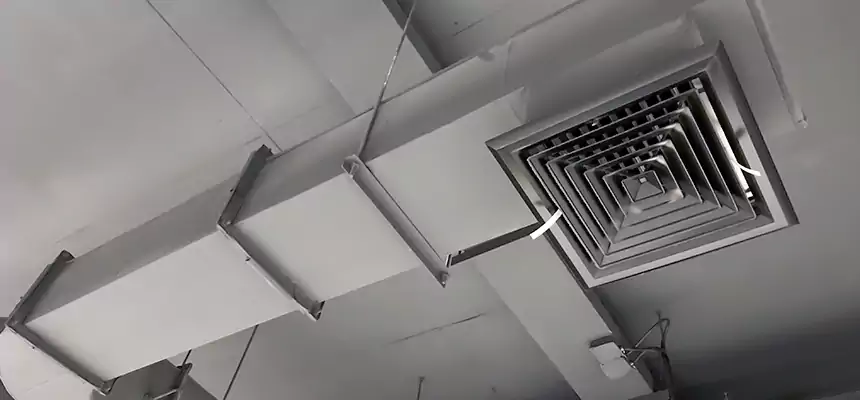 Our Pest Removal From Ducts Services in Tallahassee, FL