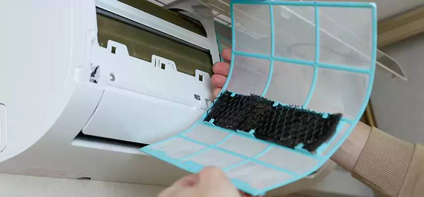 Gentle Ductwork Odor-Control Pet Dander Duct Cleaning in Tallahassee, FL