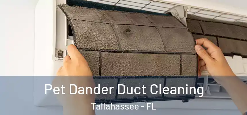 Pet Dander Duct Cleaning Tallahassee - FL