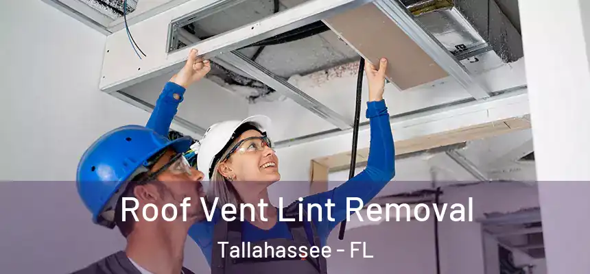 Roof Vent Lint Removal Tallahassee - FL