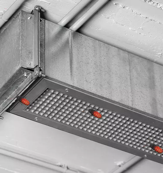 About Air Duct Cockroach Removal in Tallahassee, FL