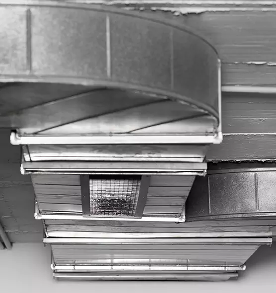 Professional Air Duct Pest Removal in Tallahassee, FL