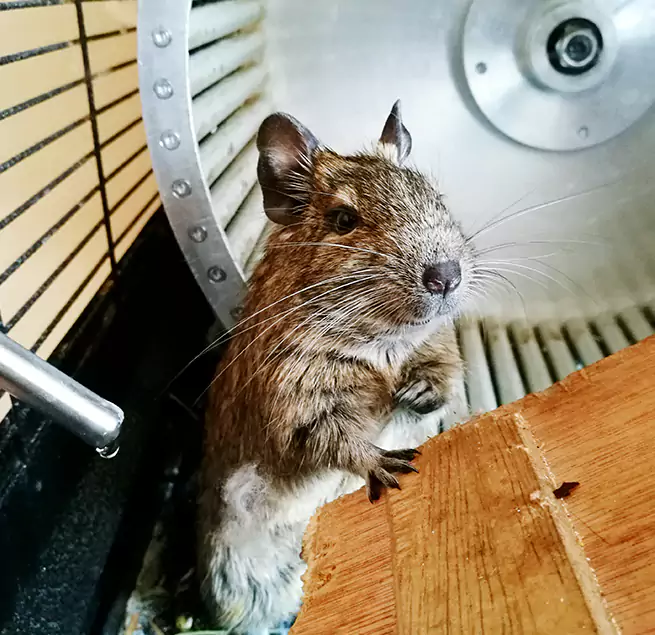 Why Homeowners & Businesses Trust Us Tallahassee, FL