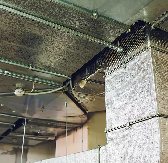 Why Homeowners & Businesses Trust Us in Tallahassee, FL?