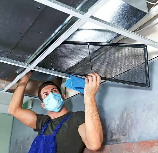 Why Homeowners Businesses Trust Us in Tallahassee, FL